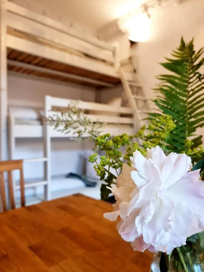 Hostel Lollis Homestay Drážďany
